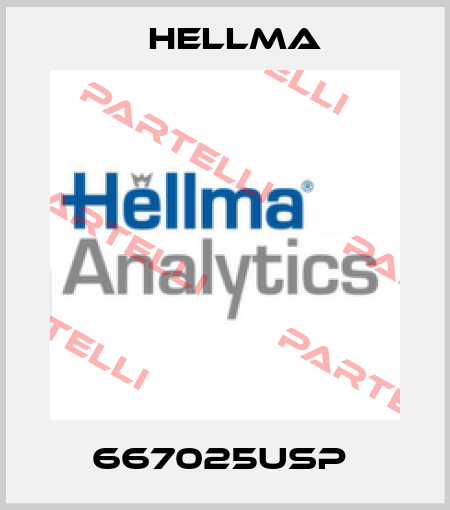 667025USP  Hellma