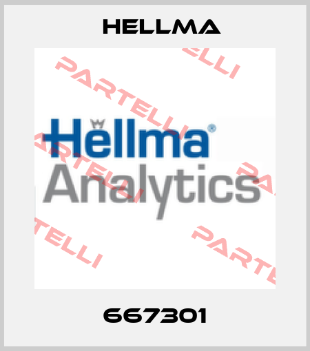 667301 Hellma