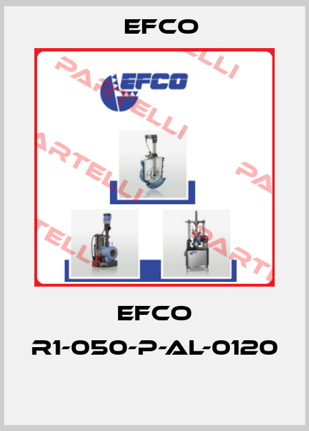 EFCO R1-050-P-AL-0120  Efco