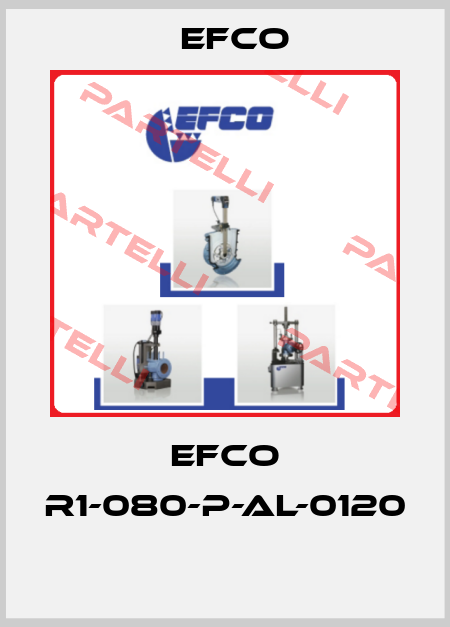 EFCO R1-080-P-AL-0120  Efco