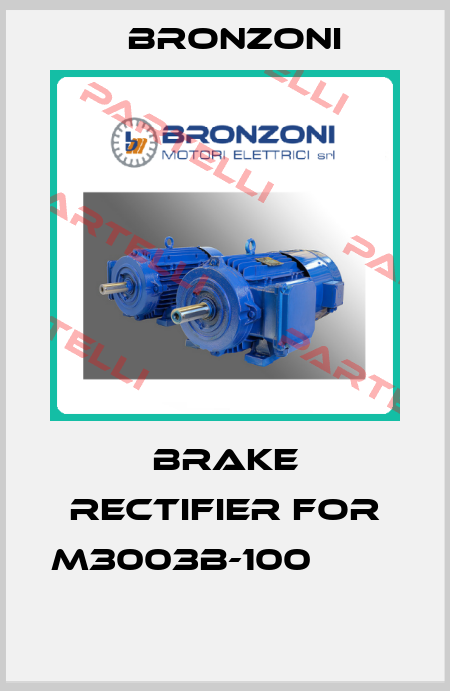Brake rectifier for M3003B-100               Bronzoni