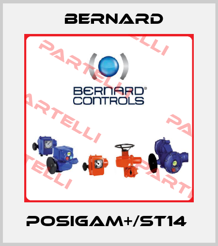 POSIGAM+/ST14  Bernard