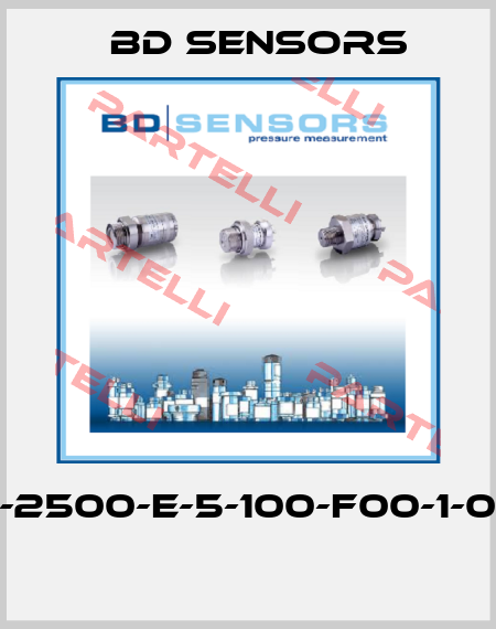 110-2500-E-5-100-F00-1-000  Bd Sensors