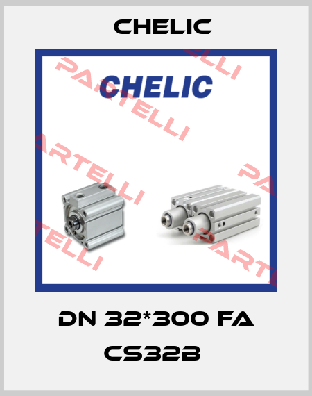 DN 32*300 FA CS32B  Chelic