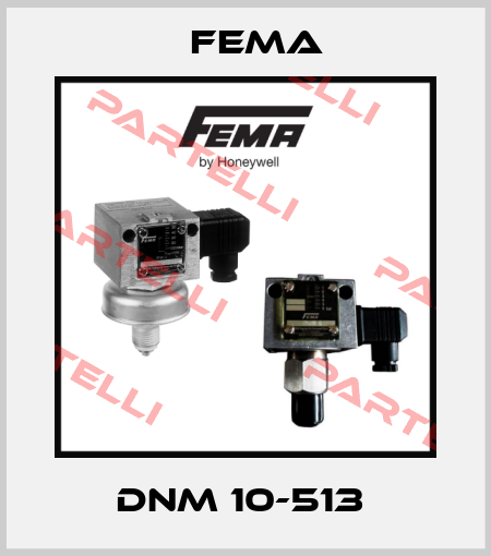 DNM 10-513  FEMA