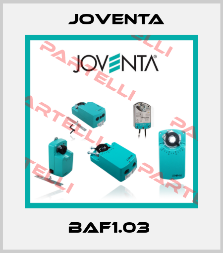 BAF1.03  Joventa