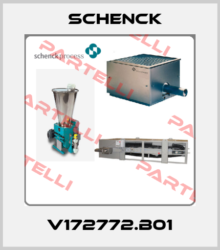 V172772.B01 Schenck