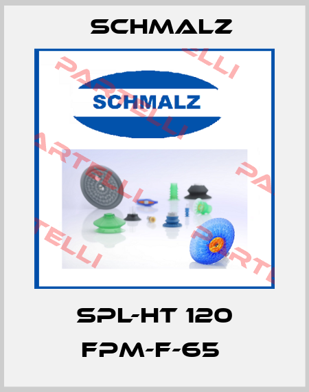 SPL-HT 120 FPM-F-65  Schmalz