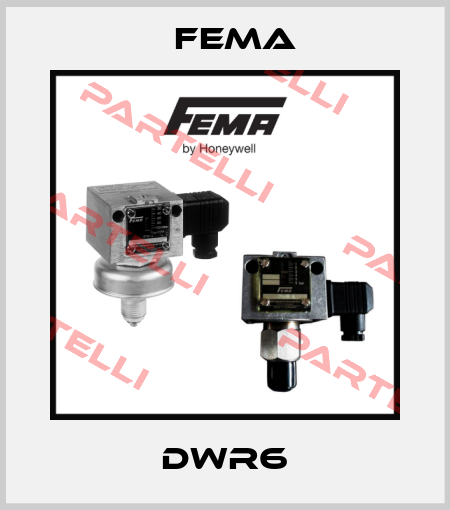 DWR6 FEMA