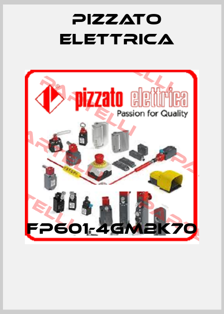 FP601-4GM2K70  Pizzato Elettrica