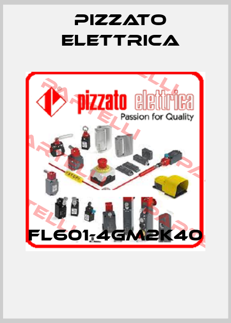 FL601-4GM2K40  Pizzato Elettrica