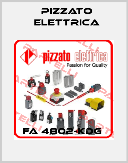 FA 4802-KDG  Pizzato Elettrica