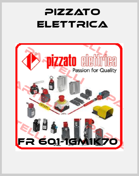 FR 601-1GM1K70  Pizzato Elettrica