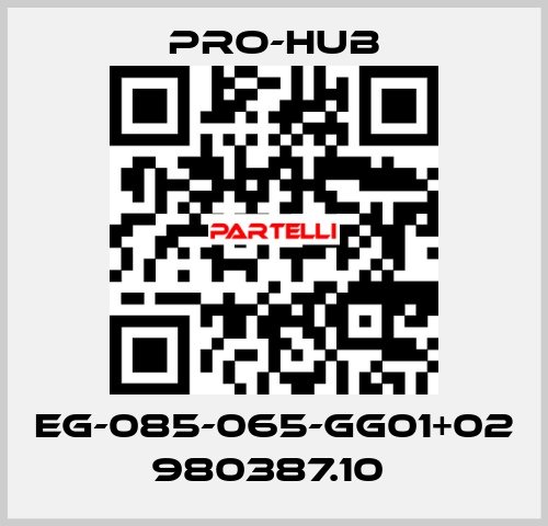 EG-085-065-GG01+02 980387.10  Pro-Hub