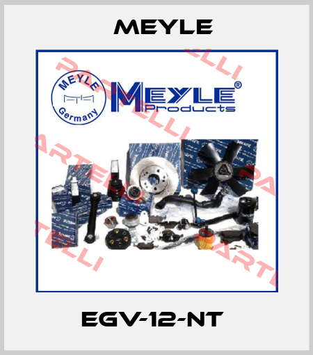 EGV-12-NT  Meyle