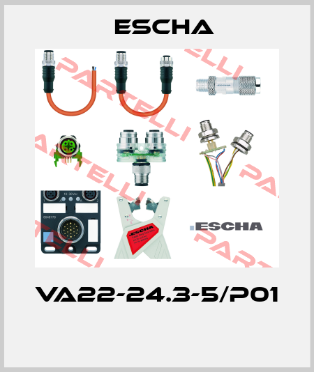VA22-24.3-5/P01  Escha