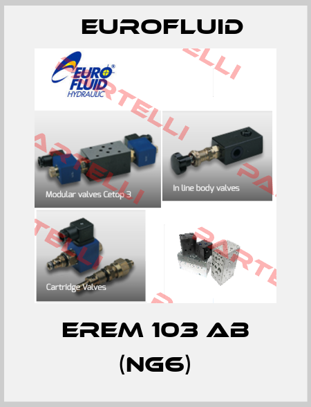 EREM 103 AB (NG6) Eurofluid