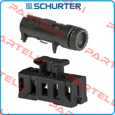 00349856 Schurter