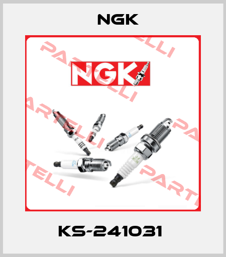 KS-241031  NGK