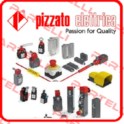 FD2078 Pizzato Elettrica