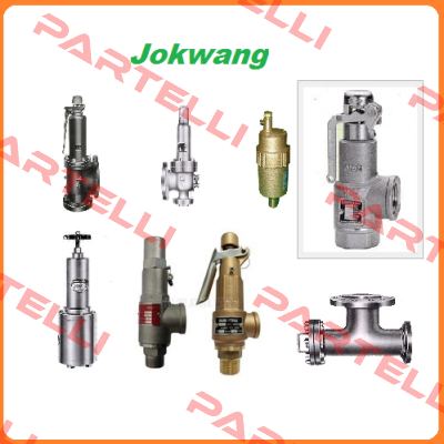 FF100-C-1"E2"-A21-212-CN2  Jokwang