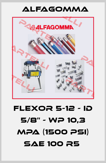 FLEXOR 5-12 - ID 5/8" - WP 10,3 MPA (1500 PSI) SAE 100 R5  Alfagomma