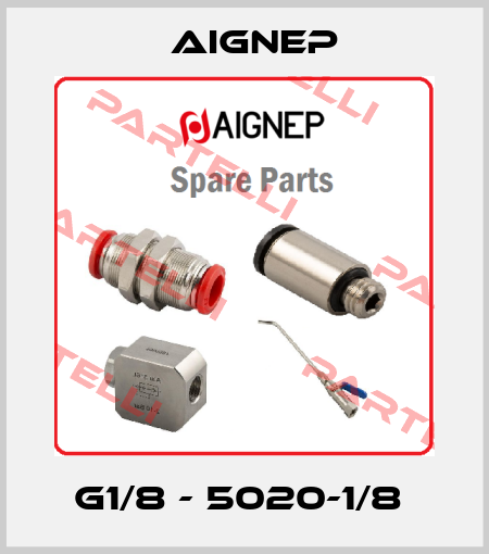 G1/8 - 5020-1/8  Aignep