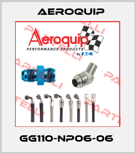 GG110-NP06-06  Aeroquip