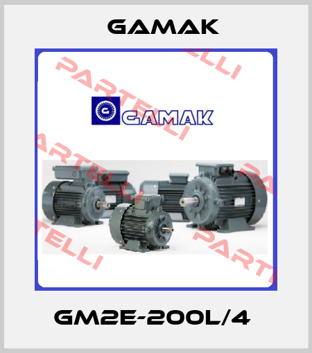 GM2E-200L/4  Gamak