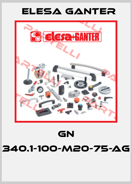 GN 340.1-100-M20-75-AG  Elesa Ganter