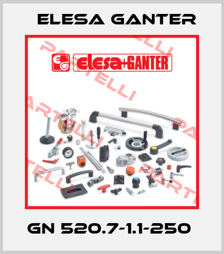 GN 520.7-1.1-250  Elesa Ganter