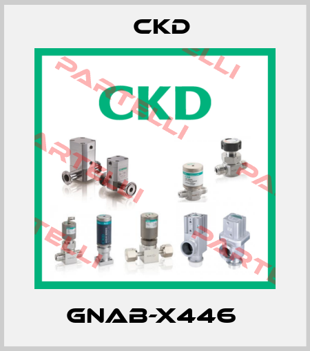 GNAB-X446  Ckd
