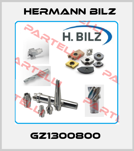 GZ1300800  Hermann Bilz