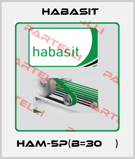 HAM-5P(B=30мм) Habasit