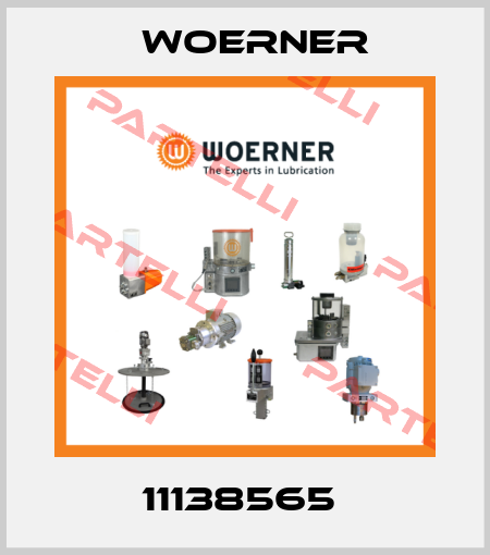 11138565  Woerner