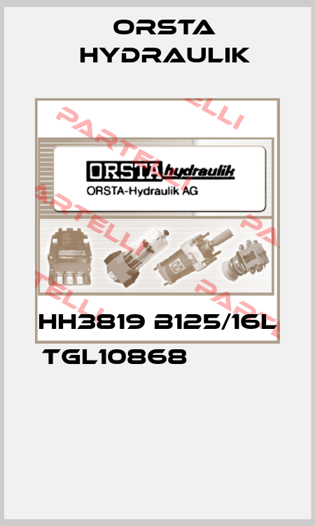 HH3819 B125/16L TGL10868                                               Orsta Hydraulik