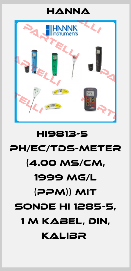 HI9813-5   PH/EC/TDS-METER (4.00 MS/CM, 1999 MG/L (PPM)) MIT SONDE HI 1285-5, 1 M KABEL, DIN, KALIBR  Hanna