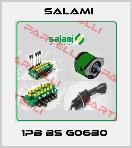 1PB BS G06B0  Salami