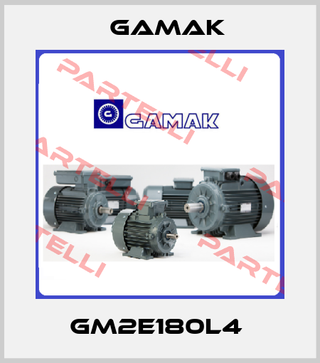 GM2E180L4  Gamak