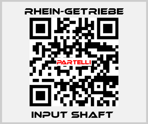INPUT SHAFT  Rhein-Getriebe