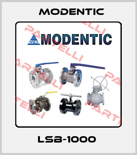 LSB-1000  Modentic