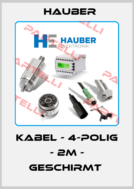 KABEL - 4-POLIG - 2M - GESCHIRMT  HAUBER