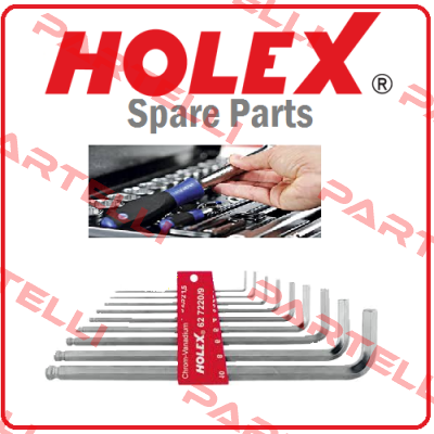 115000 1-13 Holex