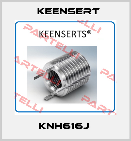 KNH616J  Keensert
