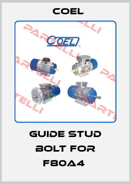 Guide stud bolt for F80A4  Coel