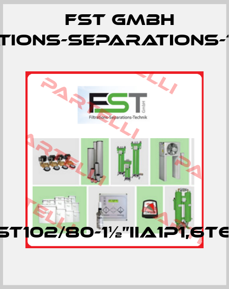 FST102/80-1½”IIA1p1,6T60 FST GmbH Filtrations-Separations-Technik