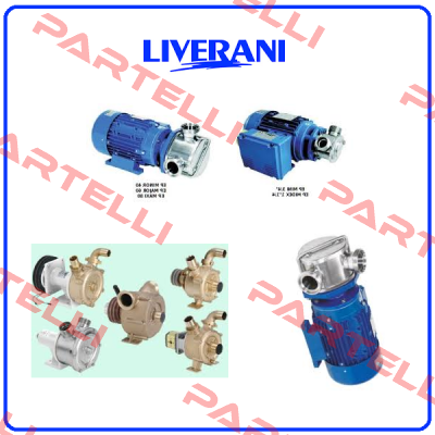 L1900804  Liverani