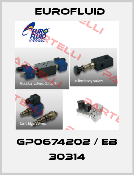 GP0674202 / EB 30314 Eurofluid