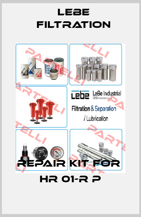 Repair kit for  HR 01-R P Lebe Filtration