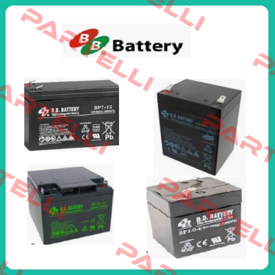 Type: YUASA NP26-12B  B.B. Battery